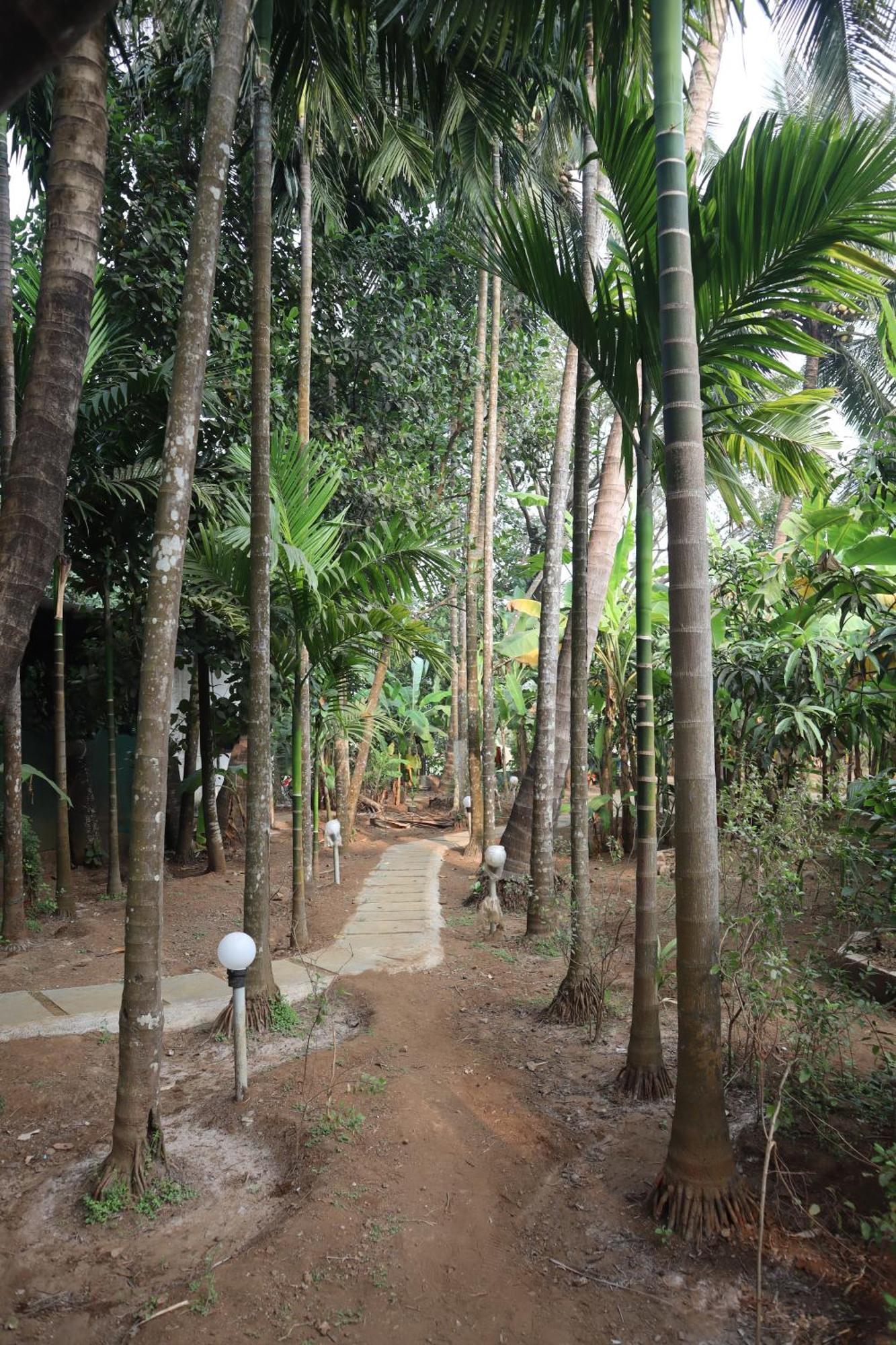 Gokul Cottage & Villa Revadanda Luaran gambar